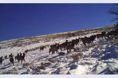 910 Slater Way Road Road, Craig, CO 81625 - Photo 31