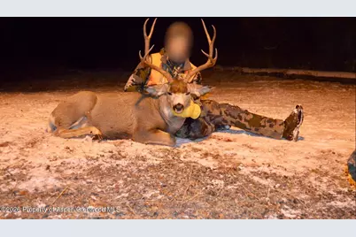 910 Slater Way Road Road, Craig, CO 81625 - Photo 17