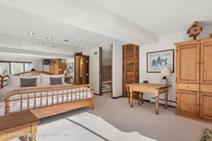 246 Roaring Fork Dr, Aspen, CO 81611 - Photo 19