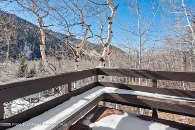 246 Roaring Fork Drive, Aspen, CO 81611 - Photo 15