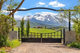 893 Co Rd 102, Carbondale, CO 81623 - Photo 3