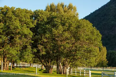 2147 Lower River Road, Snowmass, CO 81654 - Photo 63