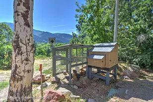 908 Red Mountain Dr, Glenwood Springs, CO 81601 - Photo 43