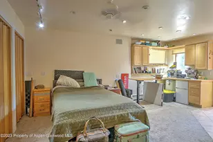 908 Red Mountain Dr, Glenwood Springs, CO 81601 - Photo 37
