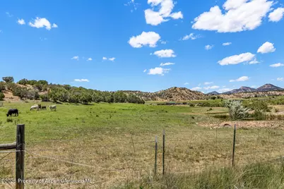 2880 County Road 233, Rifle, CO 81650 - Photo 39