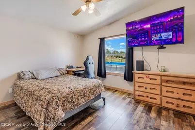 2880 County Road 233, Rifle, CO 81650 - Photo 19