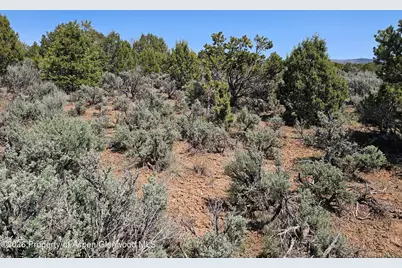 3504 Elk Springs Drive, Glenwood Springs, CO 81601 - Photo 11
