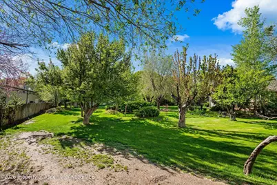 127 Cardinal Way, Parachute, CO 81635 - Photo 31