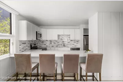 605 E Main Street #9, Aspen, CO 81611 - Photo 3