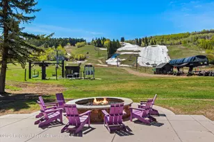 38750 Hwy 82, Aspen, CO 81611 - Photo 23