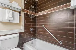38750 Hwy 82, Aspen, CO 81611 - Photo 7