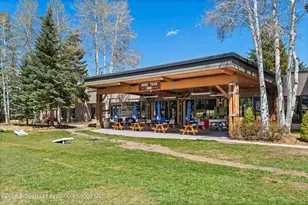 38750 Hwy 82, Aspen, CO 81611 - Photo 21