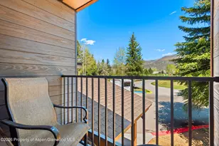 38750 Hwy 82, Aspen, CO 81611 - Photo 17