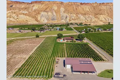 759 36 3/10 Road, Palisade, CO 81526 - Photo 3