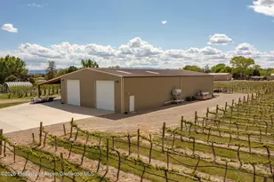 759 36 3/10 Rd, Palisade, CO 81526 - Photo 11