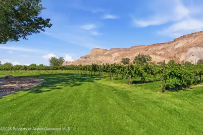 759 36 3/10 Road, Palisade, CO 81526 - Photo 9