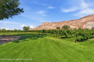 759 36 3/10 Rd, Palisade, CO 81526 - Photo 9