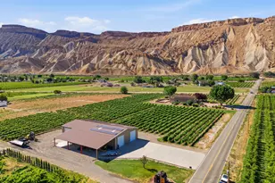 759 36 3/10 Rd, Palisade, CO 81526 - Photo 5