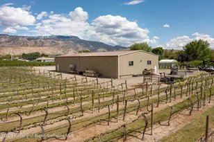 759 36 3/10 Rd, Palisade, CO 81526 - Photo 3