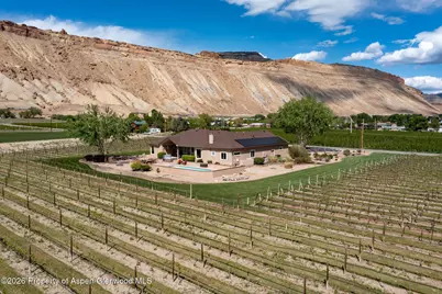 759 36 3/10 Road, Palisade, CO 81526 - Photo 7