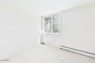 209 Larkspur Ln, Aspen, CO 81611 - Photo 17