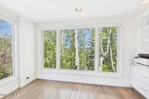209 Larkspur Ln, Aspen, CO 81611 - Photo 7