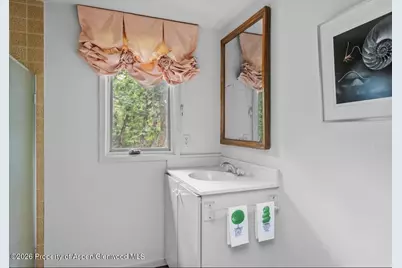 209 Larkspur Lane, Aspen, CO 81611 - Photo 21