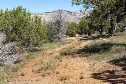 Tbd T Road, De Beque, CO 81630 - Photo 13
