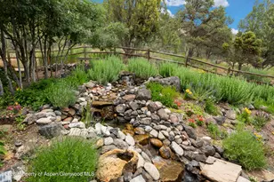 268 Larkspur Dr, Carbondale, CO 81623 - Photo 61