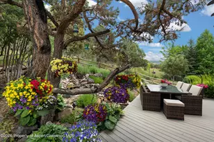 268 Larkspur Dr, Carbondale, CO 81623 - Photo 49
