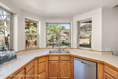 268 Deer Run, Carbondale, CO 81623 - Photo 19