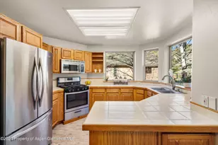 268 Deer Run, Carbondale, CO 81623 - Photo 17