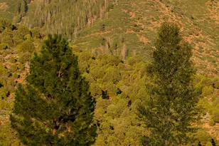 2147 Lower River Rd, Snowmass, CO 81654 - Photo 57