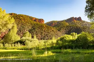 2147 Lower River Rd, Snowmass, CO 81654 - Photo 41