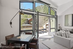 121 W Hyman Ave, Aspen, CO 81611 - Photo 9