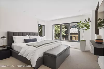 121 W Hyman Avenue #B, Aspen, CO 81611 - Photo 21