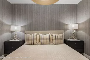 101 E Hallam St, Aspen, CO 81611 - Photo 39