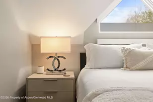 101 E Hallam St, Aspen, CO 81611 - Photo 27