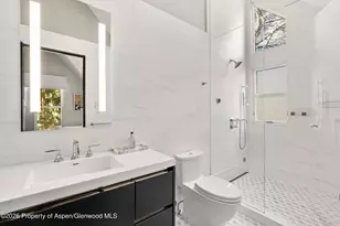 101 E Hallam St, Aspen, CO 81611 - Photo 29