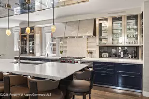 101 E Hallam St, Aspen, CO 81611 - Photo 11