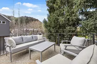 101 E Hallam St, Aspen, CO 81611 - Photo 19