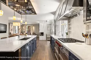 101 E Hallam St, Aspen, CO 81611 - Photo 9
