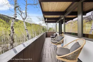 284 Eastwood Dr, Aspen, CO 81611 - Photo 7
