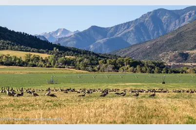 1625 Prince Creek Road, Carbondale, CO 81623 - Photo 3