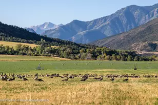 1625 Prince Creek Rd, Carbondale, CO 81623 - Photo 3