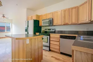238 W Timber Creek Dr, Glenwood Springs, CO 81601 - Photo 9
