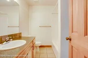 238 W Timber Creek Dr, Glenwood Springs, CO 81601 - Photo 21