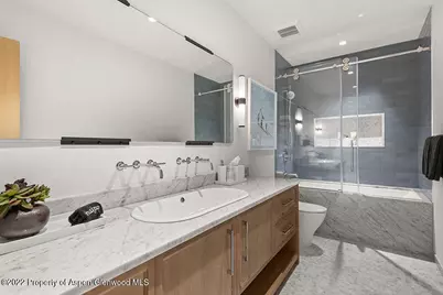 709 W Hallam Street, Aspen, CO 81611 - Photo 27