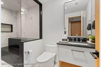 709 W Hallam Street, Aspen, CO 81611 - Photo 29