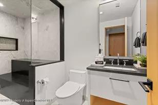 709 W Hallam St, Aspen, CO 81611 - Photo 29